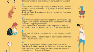 Photo of Французский язык: базовые фразы